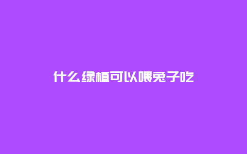 什么绿植可以喂兔子吃