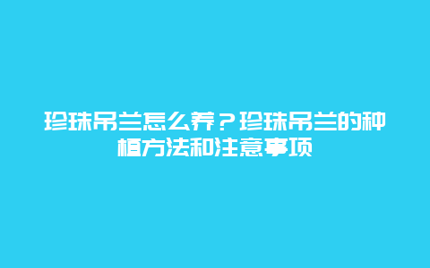 珍珠吊兰怎么养？珍珠吊兰的种植方法和注意事项