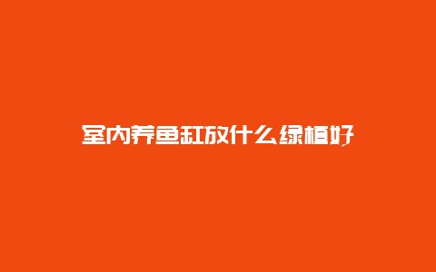 室内养鱼缸放什么绿植好