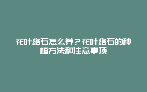 花叶络石怎么养？花叶络石的种植方法和注意事项