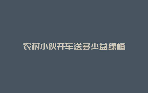 农村小伙开车送多少盆绿植