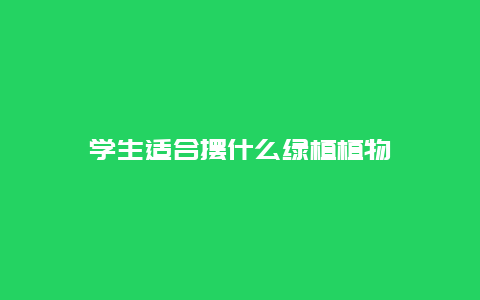 学生适合摆什么绿植植物