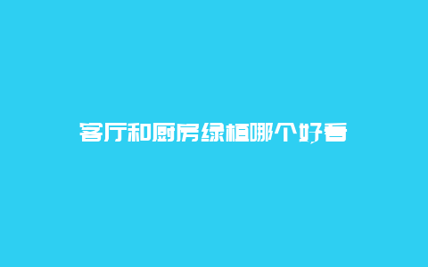 客厅和厨房绿植哪个好看