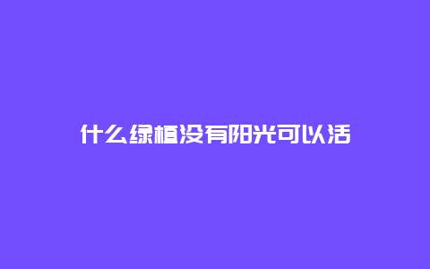 什么绿植没有阳光可以活