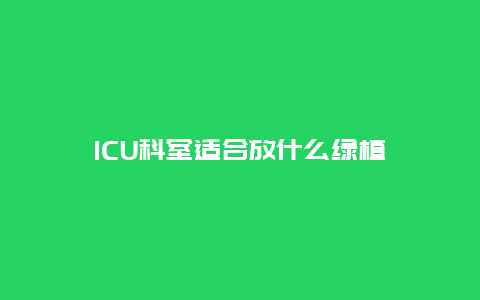 ICU科室适合放什么绿植