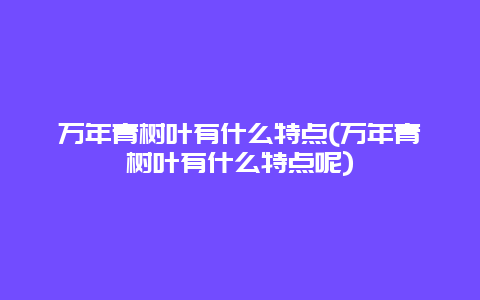 万年青树叶有什么特点(万年青树叶有什么特点呢)