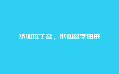 水仙拉丁名，水仙名字由来