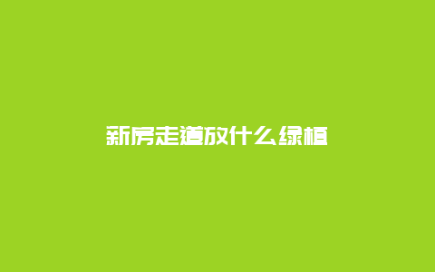 新房走道放什么绿植