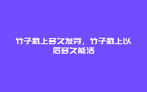 竹子栽上多久发芽，竹子栽上以后多久能活