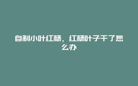 自制小叶红杨，红杨叶子干了怎么办