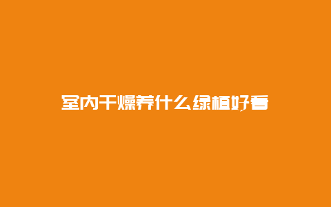 室内干燥养什么绿植好看