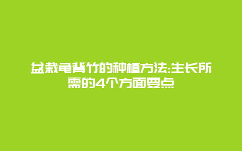 盆栽龟背竹的种植方法:生长所需的4个方面要点