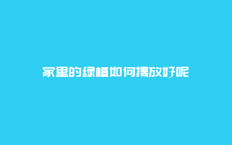 家里的绿植如何摆放好呢