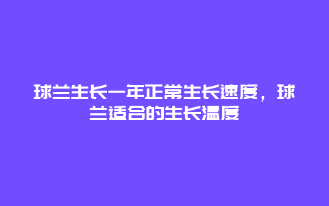 球兰生长一年正常生长速度，球兰适合的生长温度