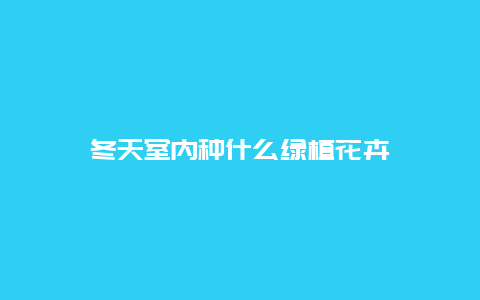 冬天室内种什么绿植花卉