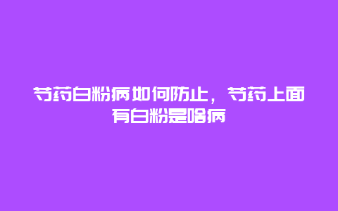 芍药白粉病如何防止，芍药上面有白粉是啥病