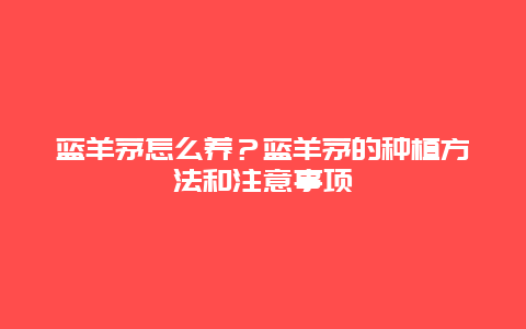 蓝羊茅怎么养？蓝羊茅的种植方法和注意事项