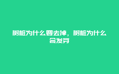 树桩为什么要去掉，树桩为什么会发芽