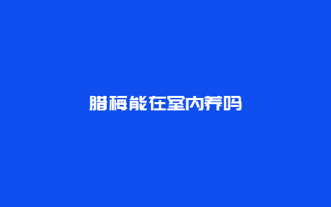 腊梅能在室内养吗