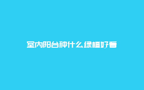 室内阳台种什么绿植好看