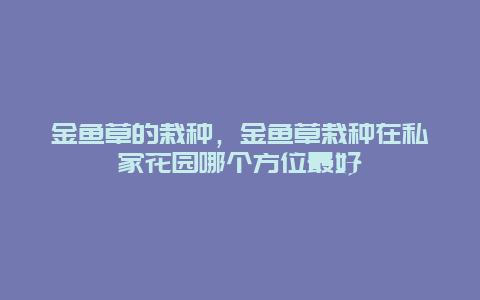 金鱼草的栽种，金鱼草栽种在私家花园哪个方位最好