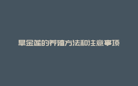 旱金莲的养殖方法和注意事项