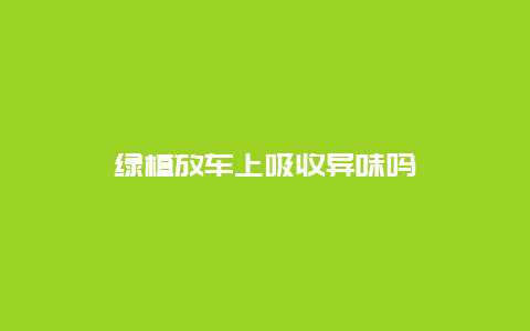 绿植放车上吸收异味吗