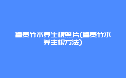 富贵竹水养生根照片(富贵竹水养生根方法)