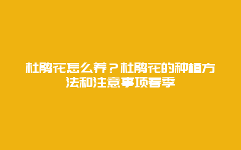 杜鹃花怎么养？杜鹃花的种植方法和注意事项春季