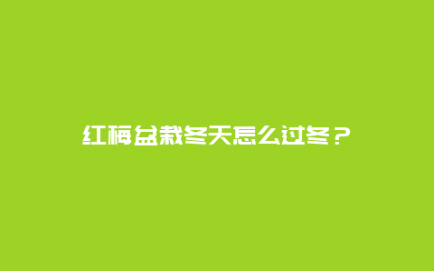 红梅盆栽冬天怎么过冬？