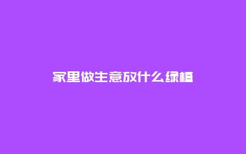 家里做生意放什么绿植