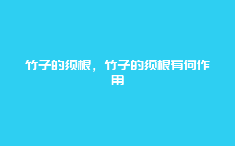 竹子的须根，竹子的须根有何作用