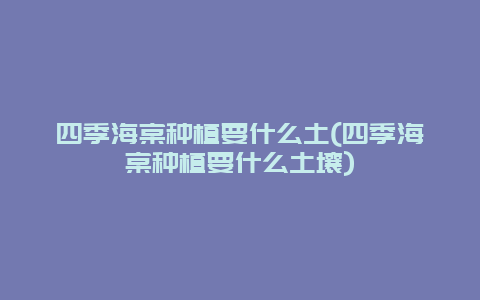 四季海棠种植要什么土(四季海棠种植要什么土壤)