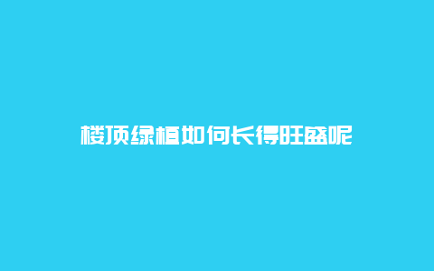 楼顶绿植如何长得旺盛呢