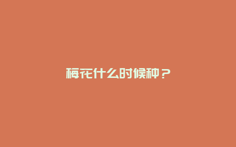 梅花什么时候种？