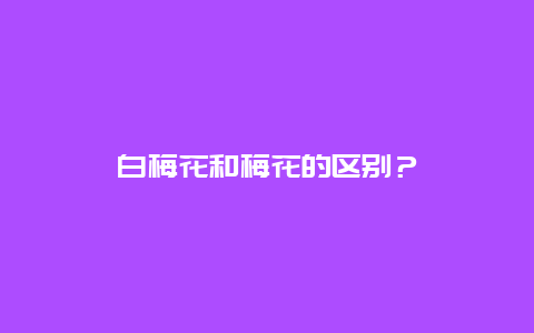 白梅花和梅花的区别？