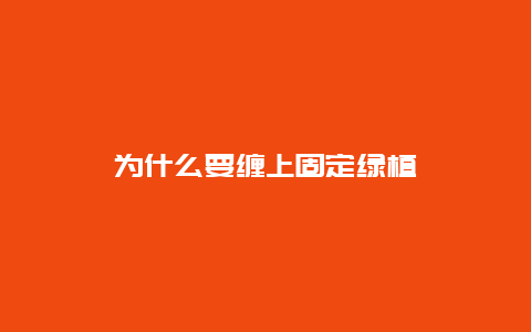 为什么要缠上固定绿植