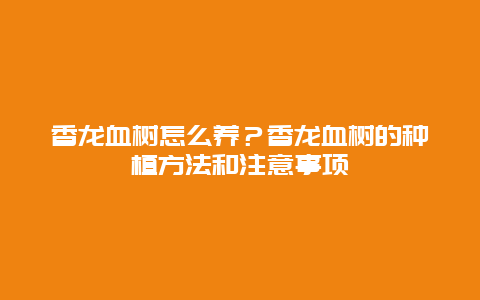 香龙血树怎么养？香龙血树的种植方法和注意事项