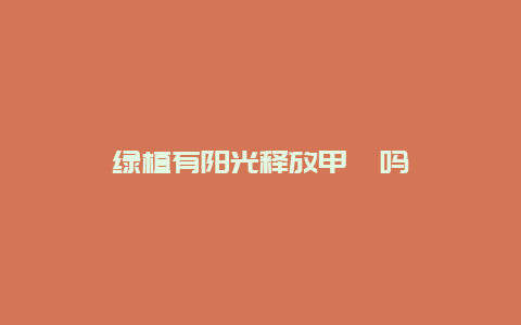 绿植有阳光释放甲醛吗