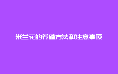 米兰花的养殖方法和注意事项