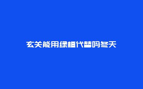 玄关能用绿植代替吗冬天