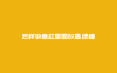 怎样做鱼缸里面放置绿植