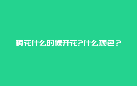 梅花什么时候开花?什么颜色？