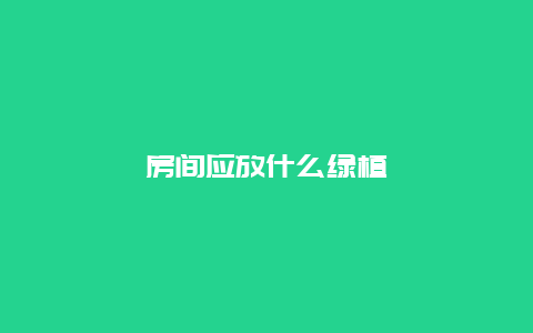 房间应放什么绿植