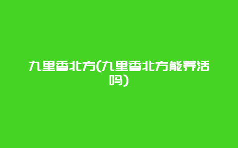 九里香北方(九里香北方能养活吗)