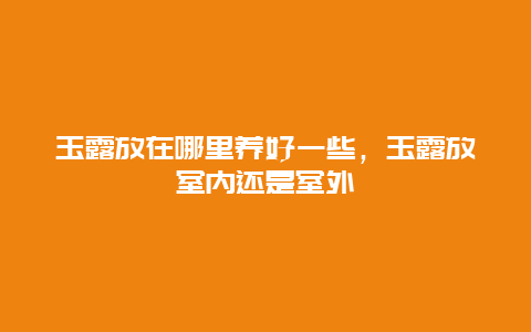 玉露放在哪里养好一些，玉露放室内还是室外