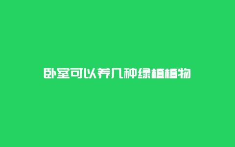 卧室可以养几种绿植植物