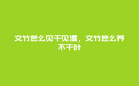 文竹怎么见干见湿，文竹怎么养不干叶