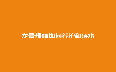 龙骨绿植如何养护和浇水