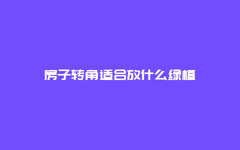 房子转角适合放什么绿植